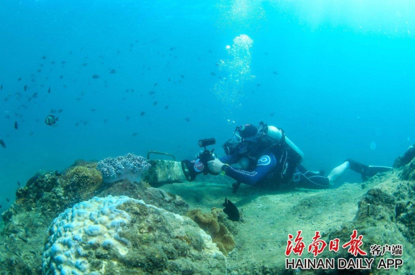 《幻兽帕鲁》超梦相关介绍